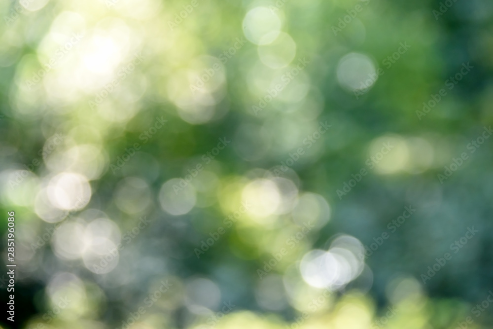 Fototapeta premium Blurred natural green background - bokeh glare.