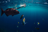 Freediver man swimming with tropical fish in ocean