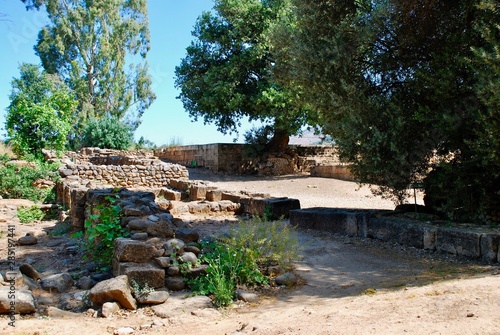 Tel Dan ruind and High Place
