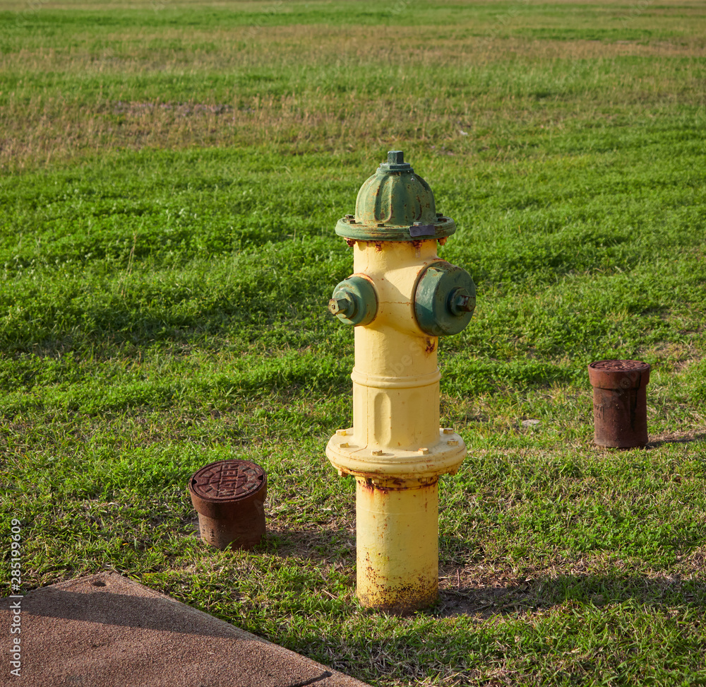 A Yellow and Green painted American Fire Hydrant in the lot of the Staybridge Suites Hotel in Brownsville, Texas, USA. A Yellow and Green painted American Fire Hydrant in the lot of the Staybridge Suites Hotel in Brownsville, Texas, USA.
