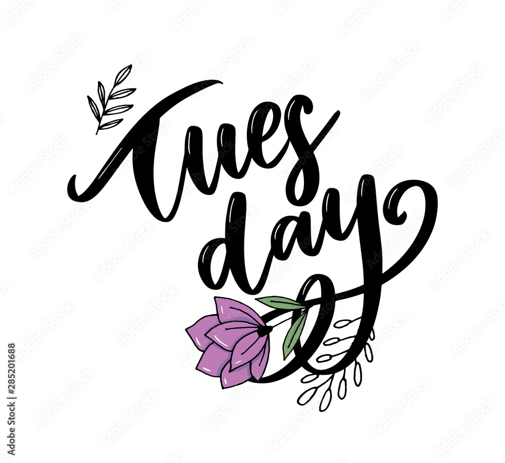 Hello Tuesday words. Hand drawn ink lettering. brush calligraphy. Hello Tuesday words. Hand drawn ink lettering. brush calligraphy.