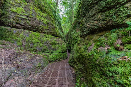 Drachenschlucht Thüringer Wald Eisenach Rennsteig photo