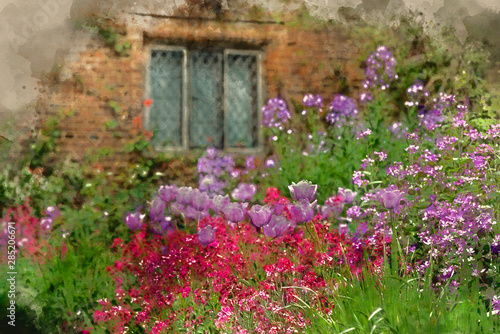 Leinwand Poster Digital watercolor painting of Quintessential English country garden scene with fresh Spring flowers in cottage garden