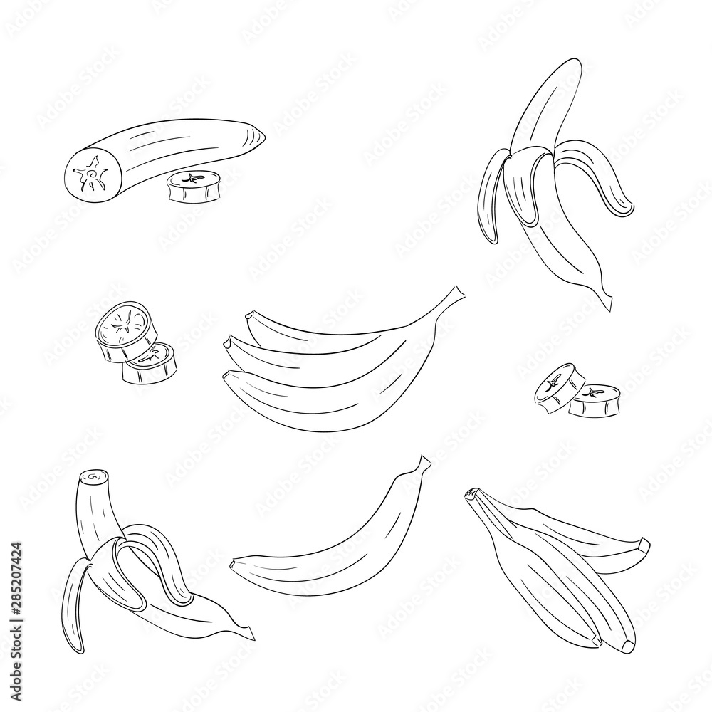 Banana single and bunch outline illustrations set