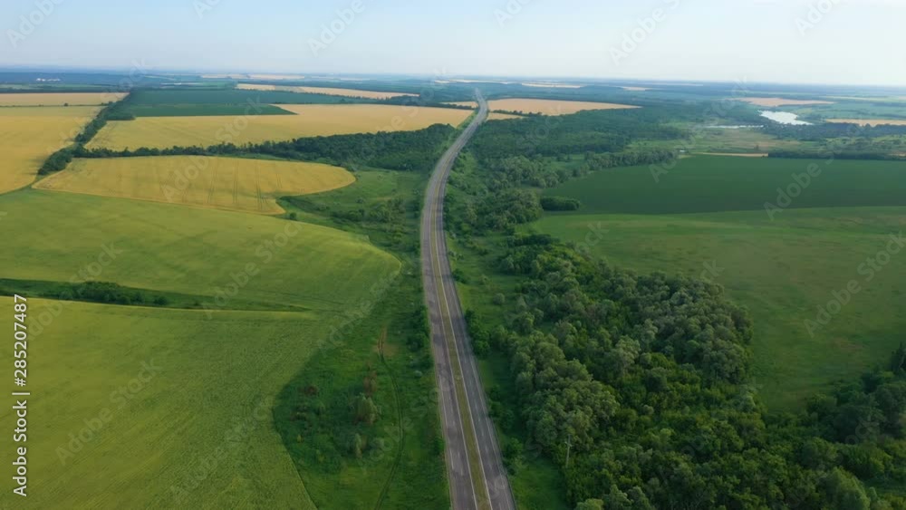 aerial view of early summer green fields and road going through aerial view of early summer green fields and road going through