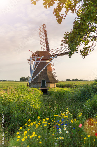 Dutch windmill in the field, Friesland, North Holland