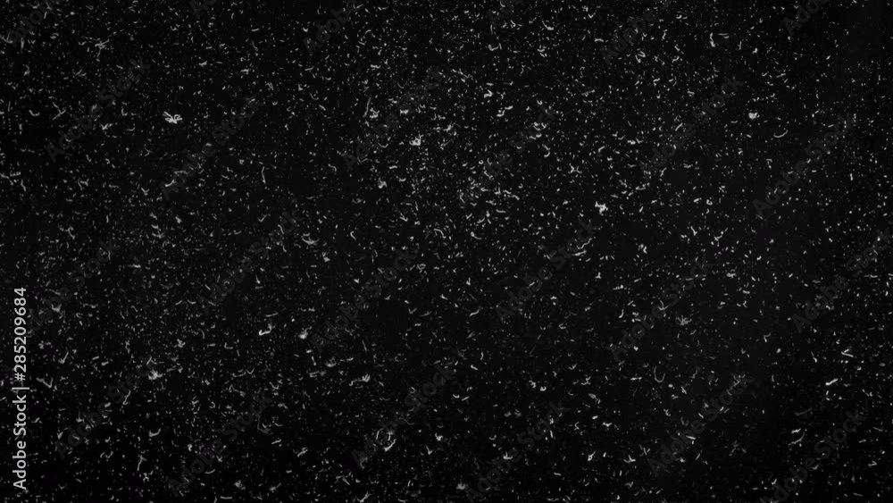 Various dust elements slowly falling down on black studio background Various dust elements slowly falling down on black studio background