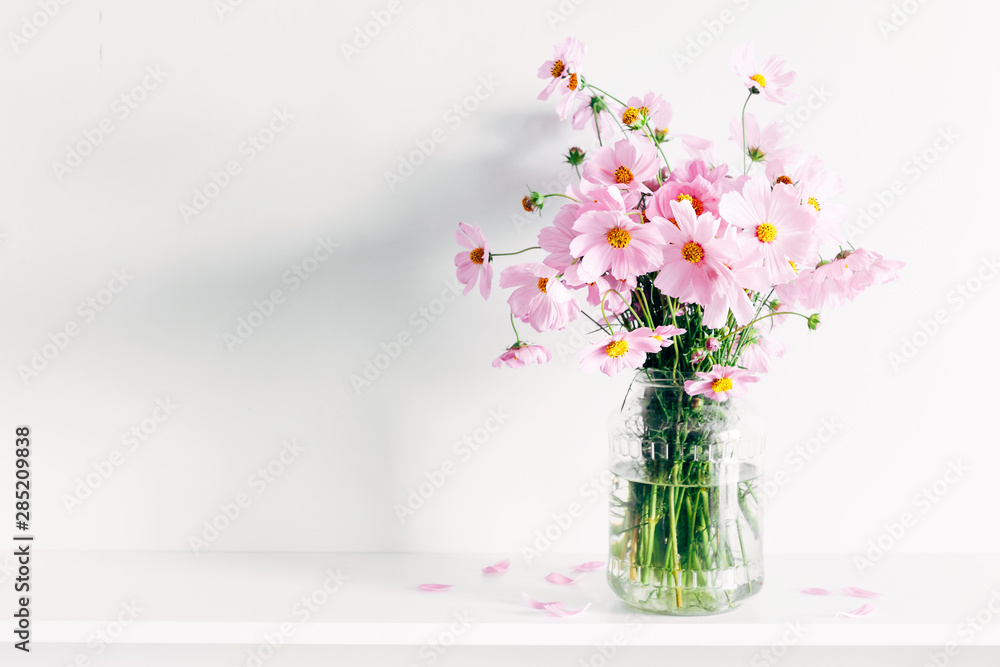 Fresh summer bouquet of pink cosmos flowers in glass vase on white wood shelf on white wall background. Floral home decor.