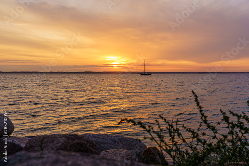 Sunset at the Baltic Sea with ship and some grasses in the foreground