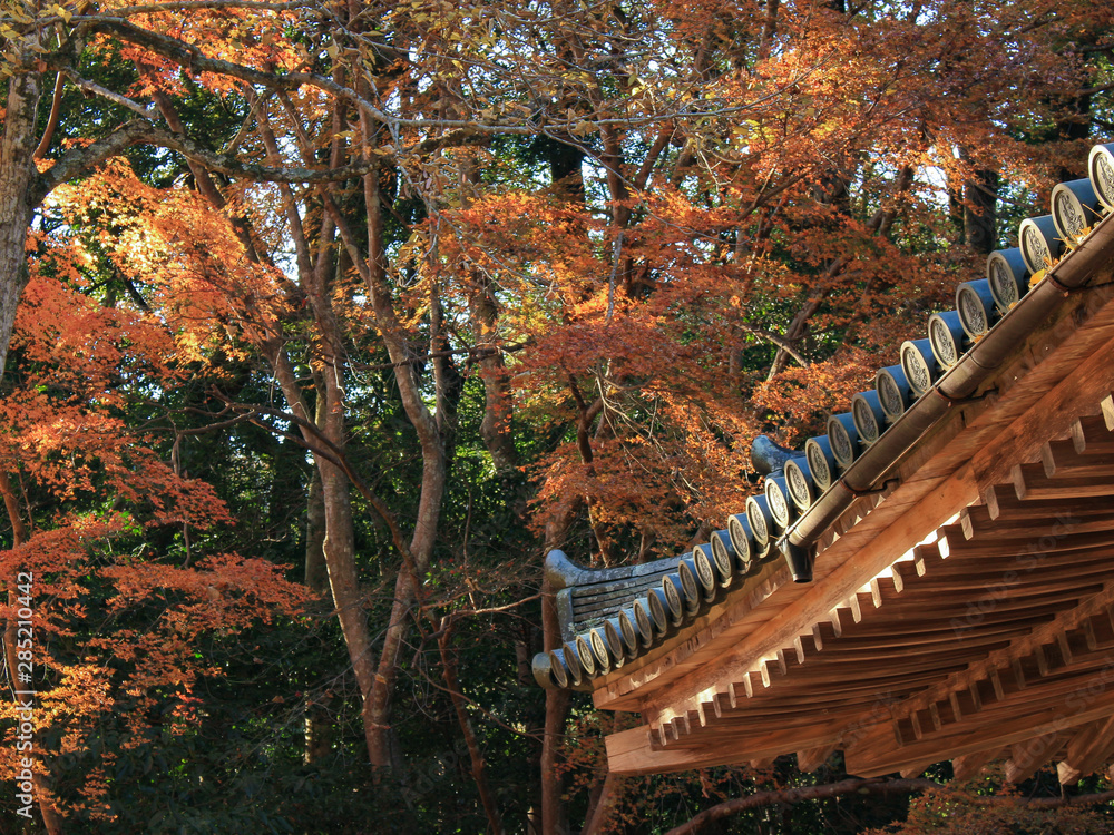 富貴寺と紅葉 大分県豊後高田市 Stock Photo Adobe Stock