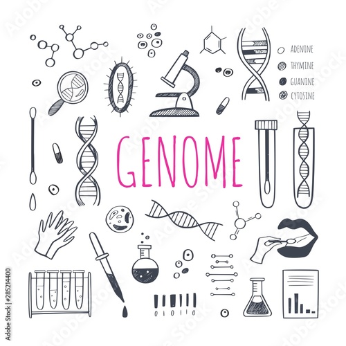 Genetic engineering and medical research vector background. DNA helix, genome testing elements. Chemical laboratory concept