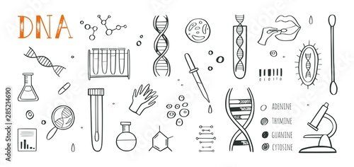 Genetic engineering and medical research vector background. DNA helix, genome testing elements. Chemical laboratory concept