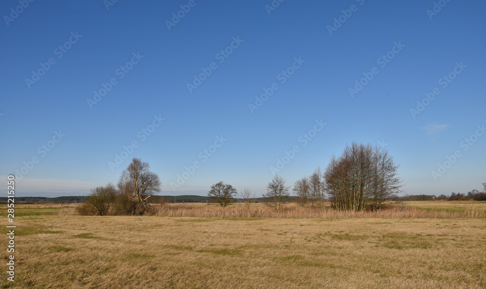 Fototapeta premium Brandenburgische Landschaft bei Blankensee (Trebbin)
