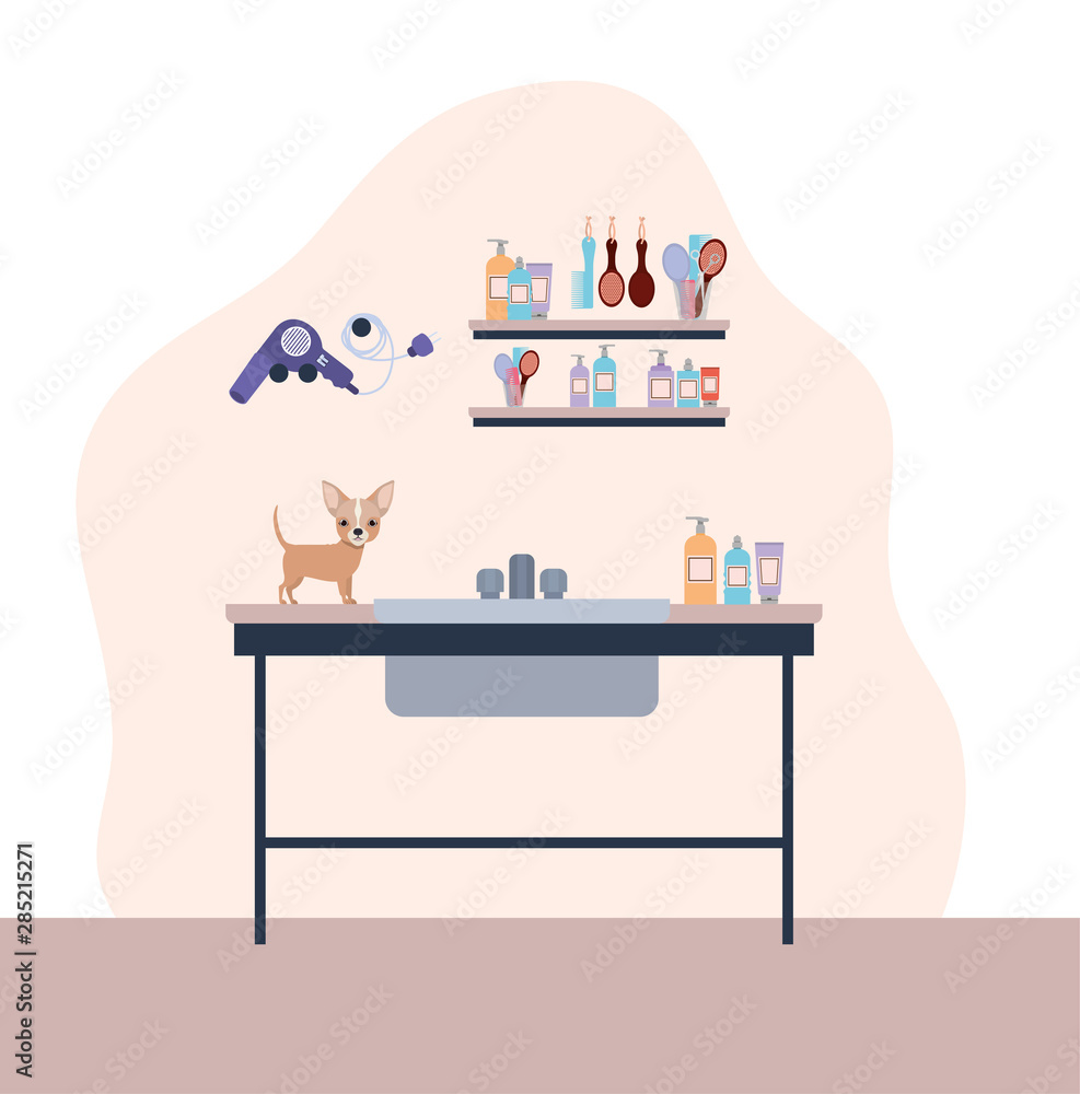 cute chihuahua dog pet character cute chihuahua dog pet character