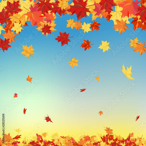 Fall  Autumn  Background