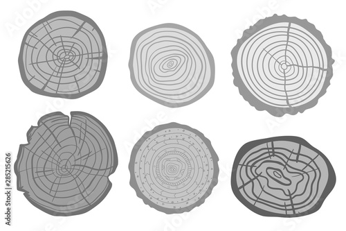 Tree rings on white. Set of cross section of the tree. Black and white illustration for your design
