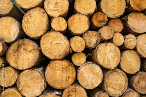 Close-Up of Stacked Cut Tree Trunks.