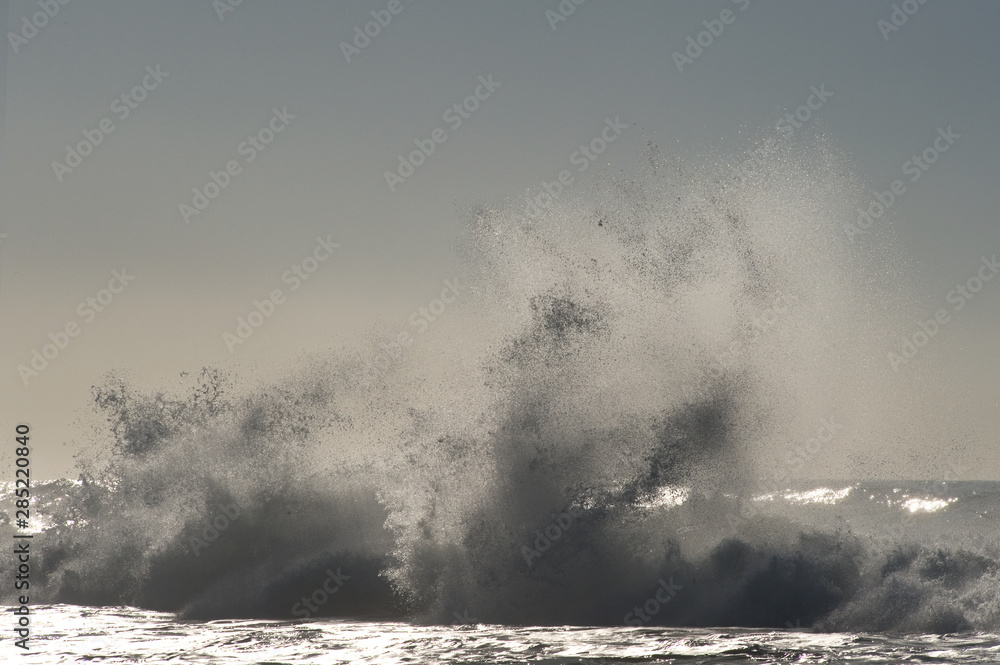 surf onda mare sea