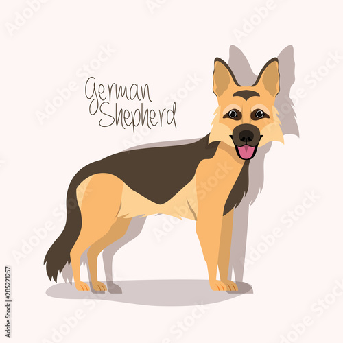 cute german shepherd dog pet character