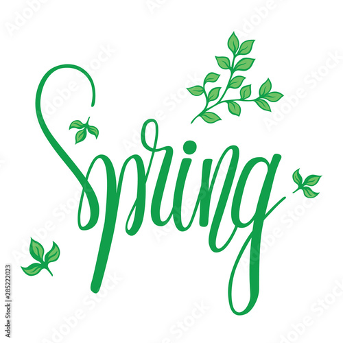 Hand lettering spring with green branches