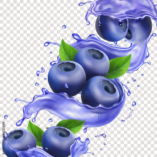 Blueberry in juice splash pure vector illustration for beverage design