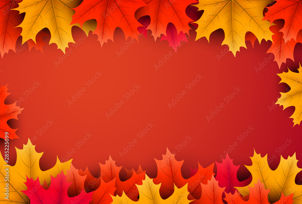 Autumn background with colorful maple leaves. Autumn background with colorful maple leaves.