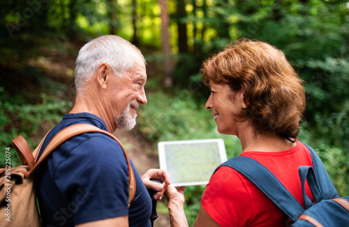Senior tourist couple on a walk in forest in nature, using map on tablet.