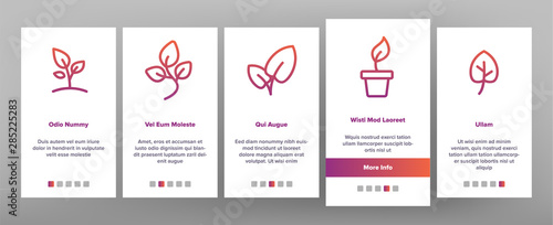 Color Different Plants Sign Icons Set Vector Onboarding Mobile App Page Screen. House Plants, Gardening And Leaves Assortment. Nature Decoration And Tree Bunch Contour Illustrations