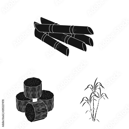 Vector illustration of sucrose and technology symbol. Collection of sucrose and cane vector icon for stock.