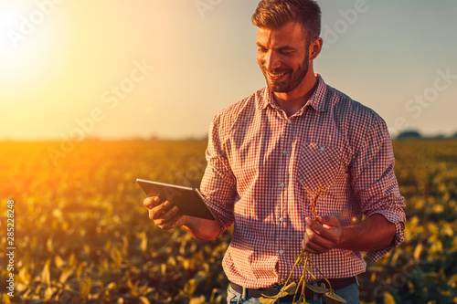 Farmer standing in soybean field looking at tablet at sunset.