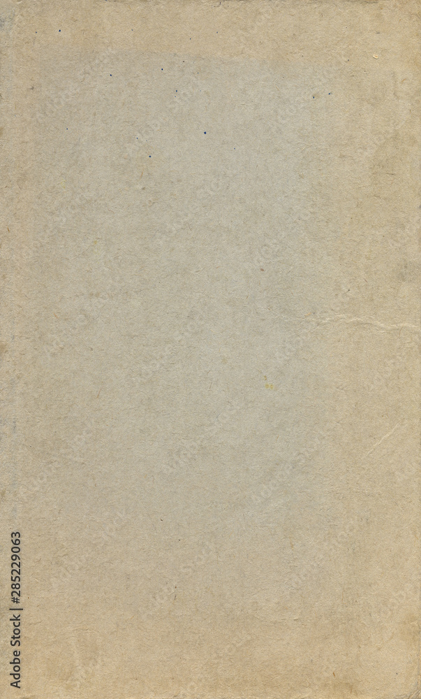 Fototapeta premium Old paper texture. Rough faded surface. Blank retro page. Empty place for text. Perfect for background and vintage style design.