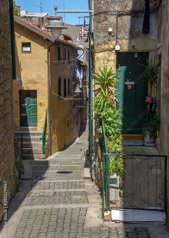 Narrow Alley With Plants and Shadows, Braga, Portugal