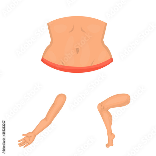 Vector illustration of body and part logo. Set of body and anatomy stock symbol for web.