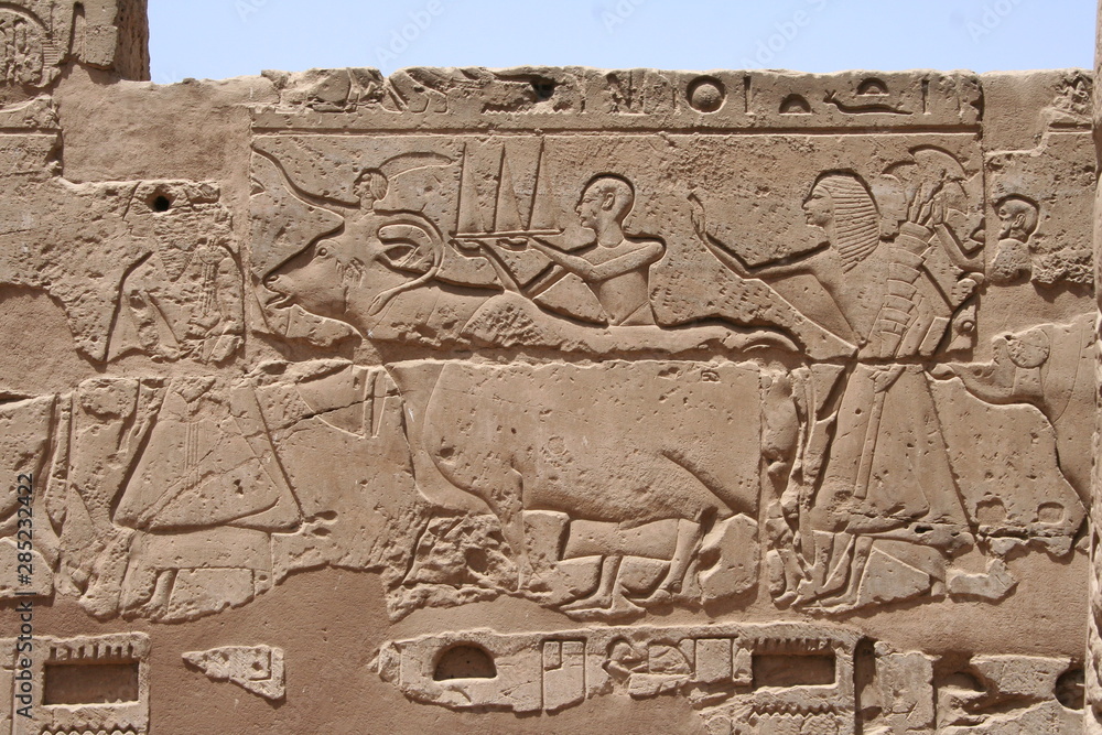 Ancient Egyptian hieroglyphs at luxor temple