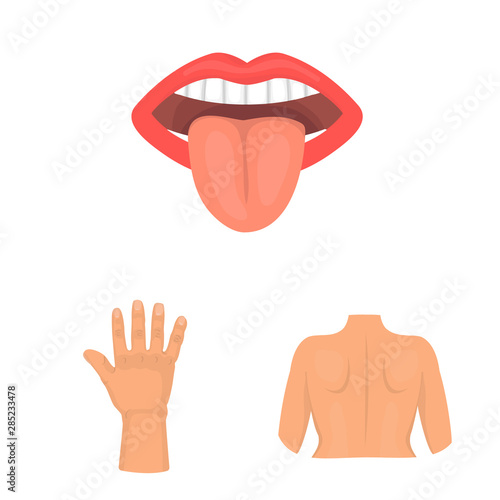 Vector design of body and part symbol. Set of body and anatomy stock vector illustration.