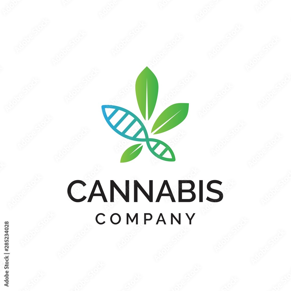 Cannabis logo design with hemp leaf and diagonal helix dna graphics Cannabis logo design with hemp leaf and diagonal helix dna graphics