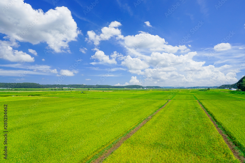 田園風景