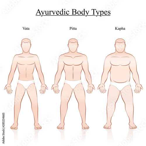 Male body constitution types - ayurvedic typology - vata, pitta, kapha. Isolated outline vector illustration of men - frontal view - different anatomy.