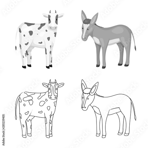Vector illustration of breeding and kitchen sign. Collection of breeding and organic stock vector illustration. © pandavector