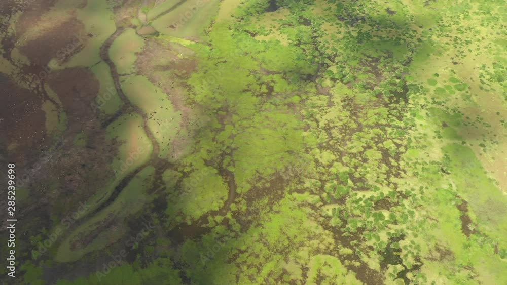 Aerial view of wet farmland and abstract network of rivers in Ethiopia Aerial view of wet farmland and abstract network of rivers in Ethiopia