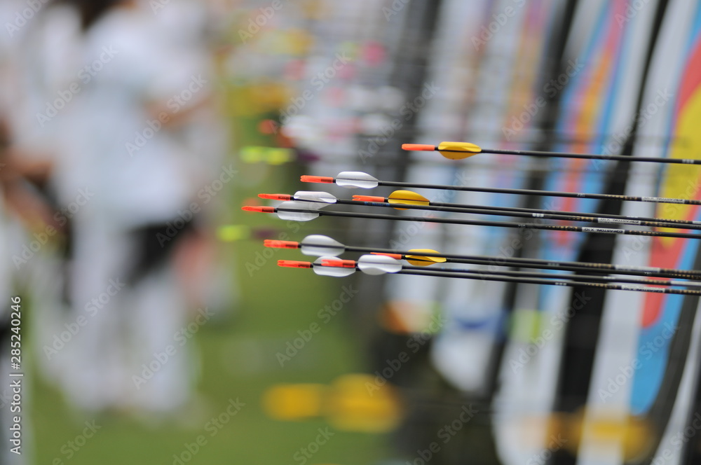 Obraz premium Archery