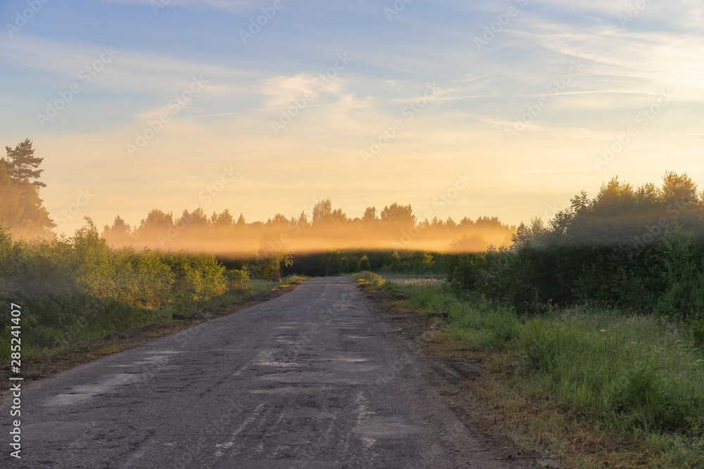 A layer of thick fog hangs over an old asphalt road and trees. Morning landscape. Mystical foggy dawn over the forest.