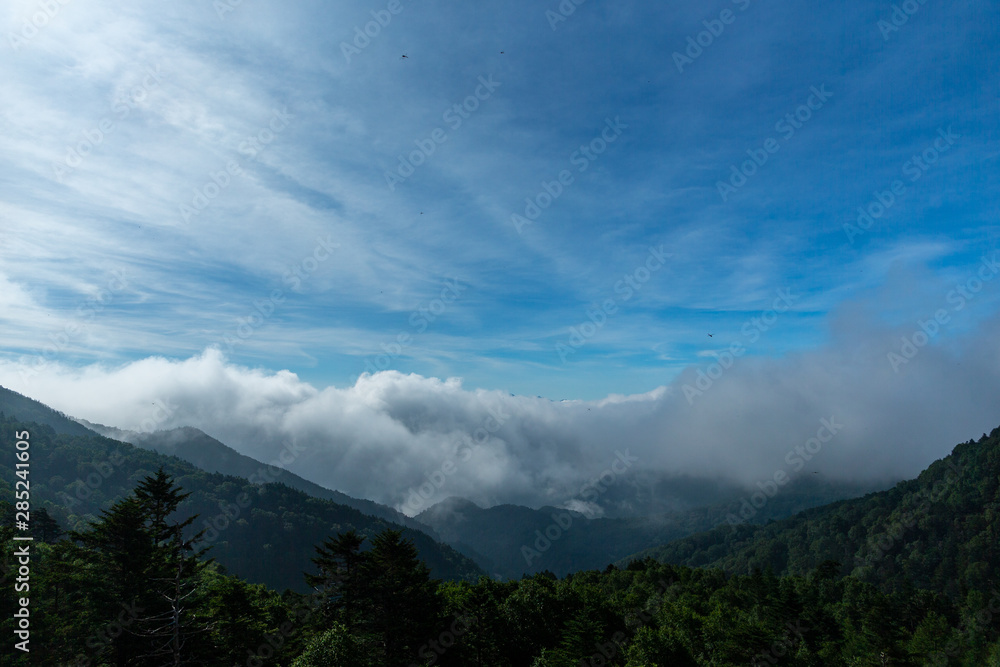 雲海 雲海