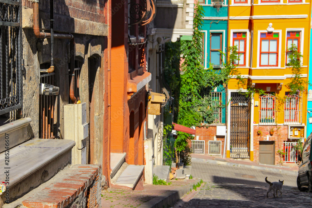 Fototapeta premium Colorful buildings in Balat in Istanbul
