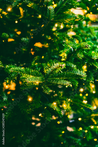 Christmas Tree Lights Background © ystewarthenderson