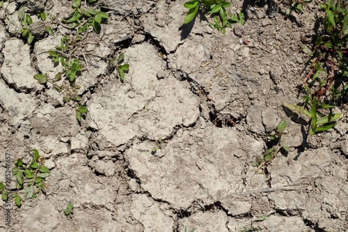 A close view of the dry cracked dirt texture.