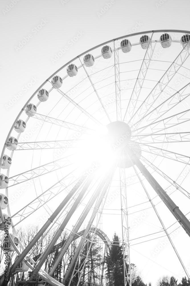 walking entertainment attractions people walking entertainment attractions people