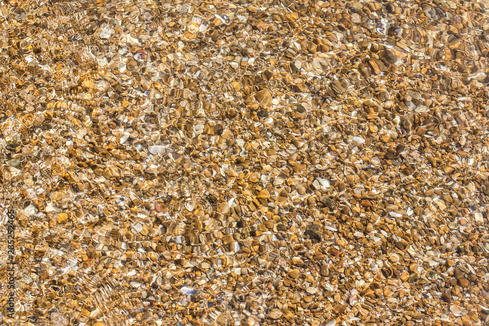 transparent bottom in shallow water on the black sea, cockleshell transparent bottom in shallow water on the black sea, cockleshell
