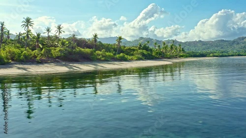 Aerial view of tropical beach with palm trees in Philippines