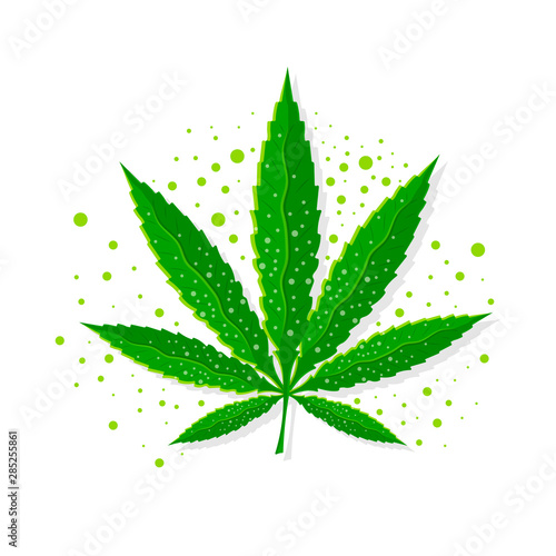 Marijuana green hemp .Cannabis sativa or Cannabis indica leaf on white background.Glat marijuana leaf logo design.